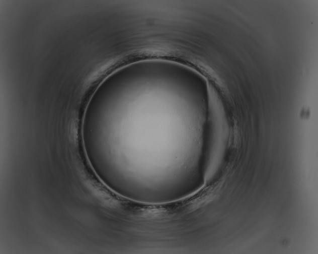 X0000096630446200802121051