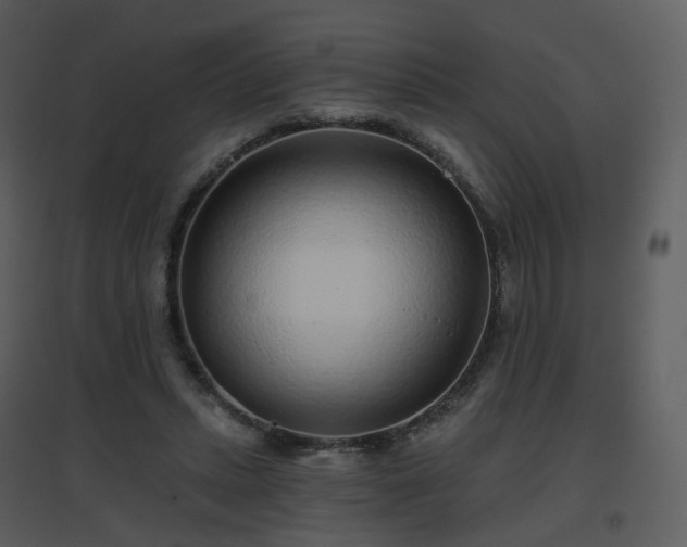 X0000096630447200802121051