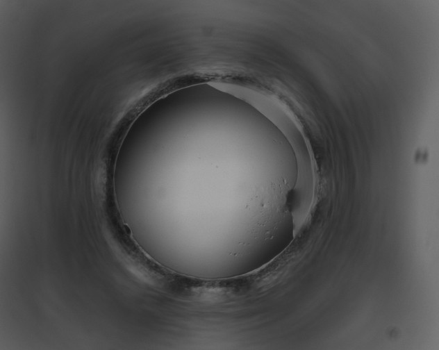 X0000096630448200802121051