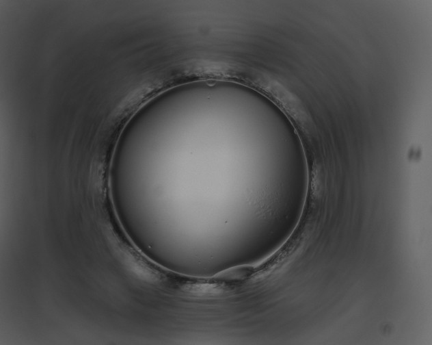 X0000096630449200802121051