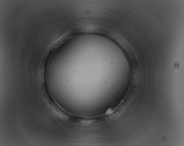 X0000096630450200802121051
