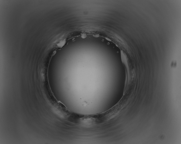 X0000096630452200802121051