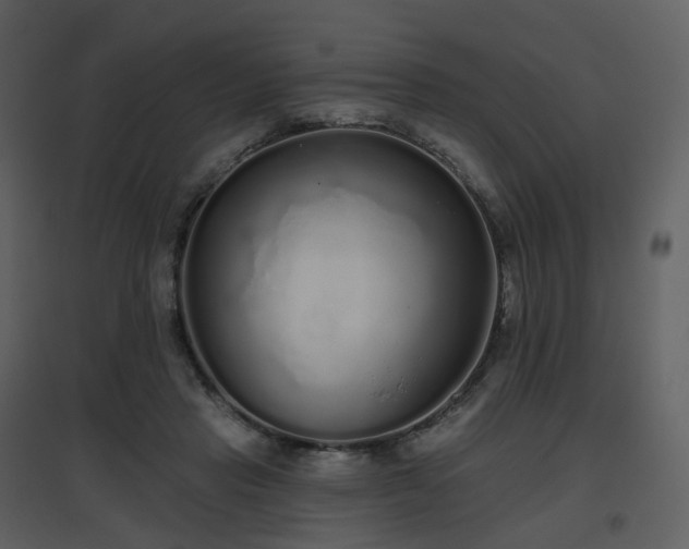 X0000096630453200802121051