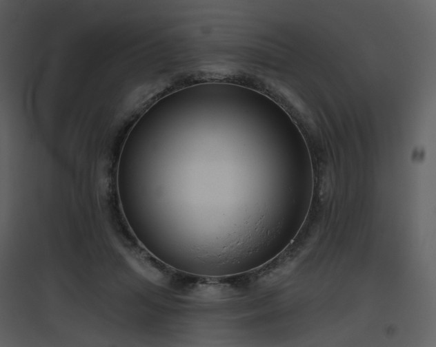 X0000096630455200802121051