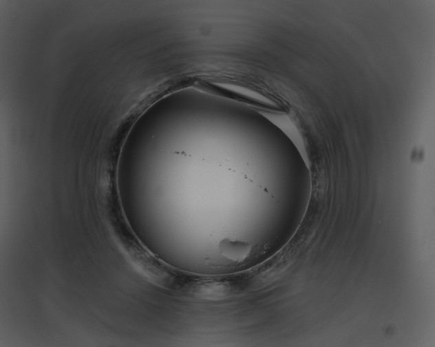 X0000096630456200802121051