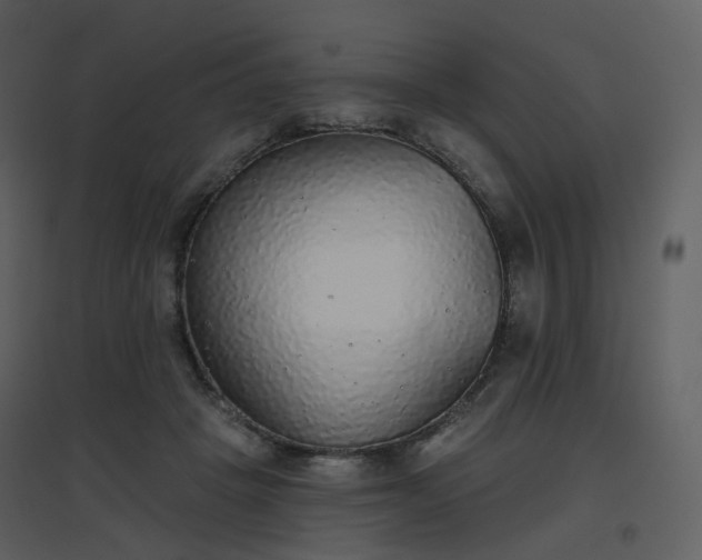 X0000096630457200802121051