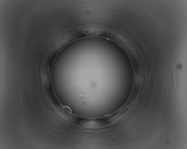 X0000096630460200802121051
