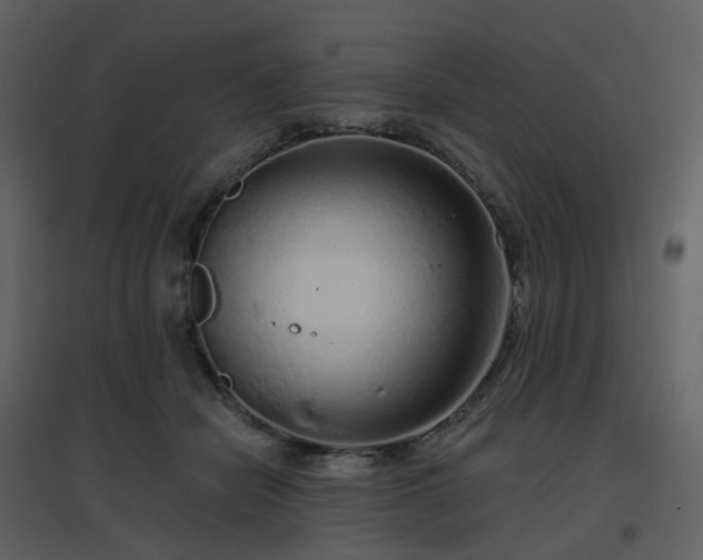 X0000096630462200802121051