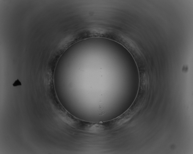 X0000096630463200802121051