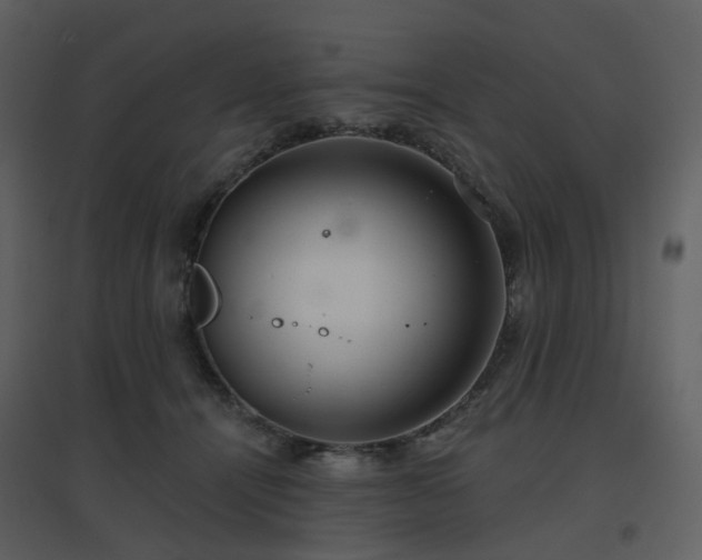 X0000096630464200802121051