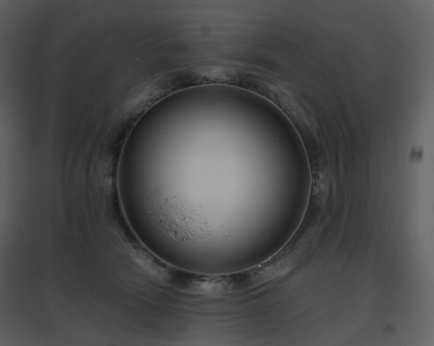 X0000096630466200802121051