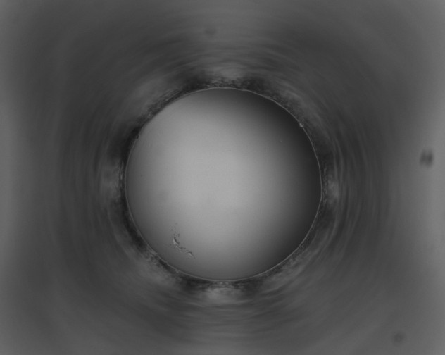 X0000096630468200802121051