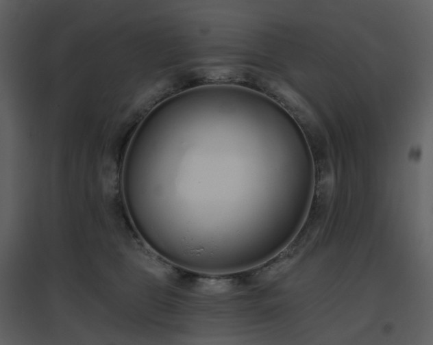 X0000096630469200802121051