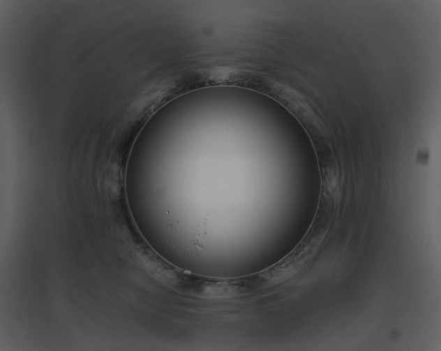 X0000096630470200802121051
