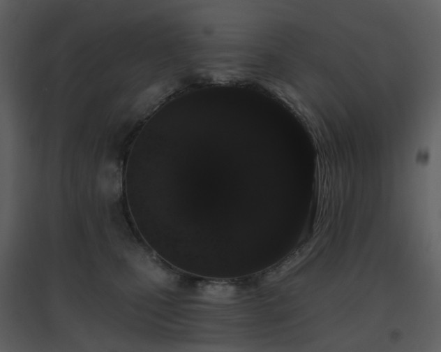 X0000096630471200802121051