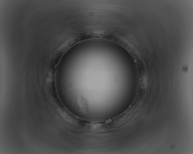 X0000096630472200802121051