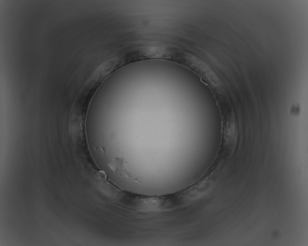 X0000096630473200802121051