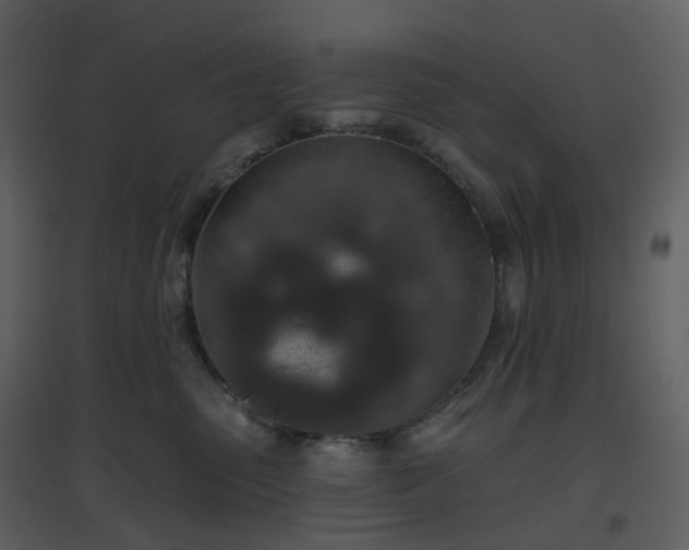 X0000096630475200802121051
