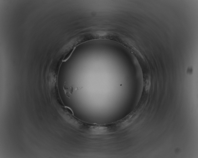 X0000096630476200802121051