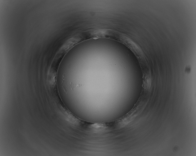 X0000096630477200802121051
