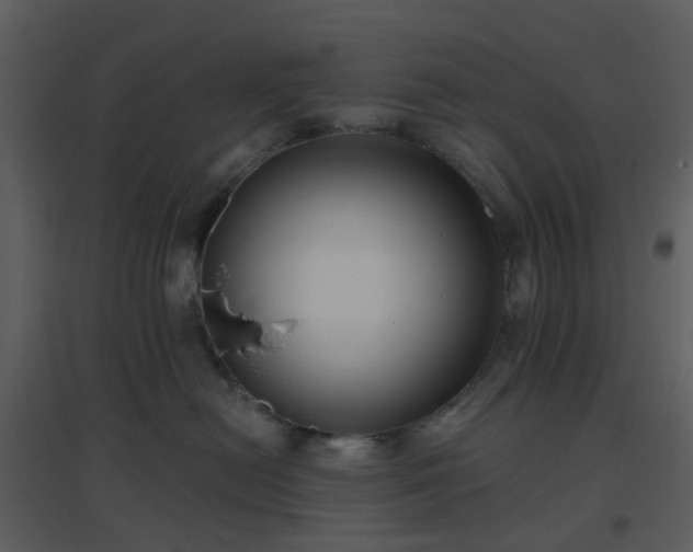 X0000096630478200802121051