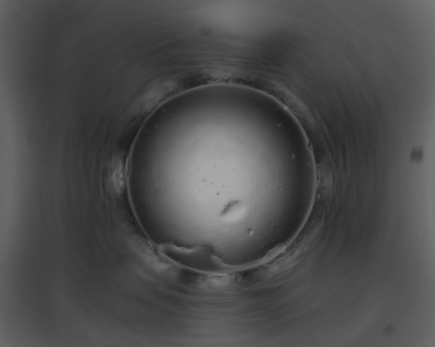 X0000096630479200802121051
