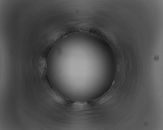 X0000096630480200802121051