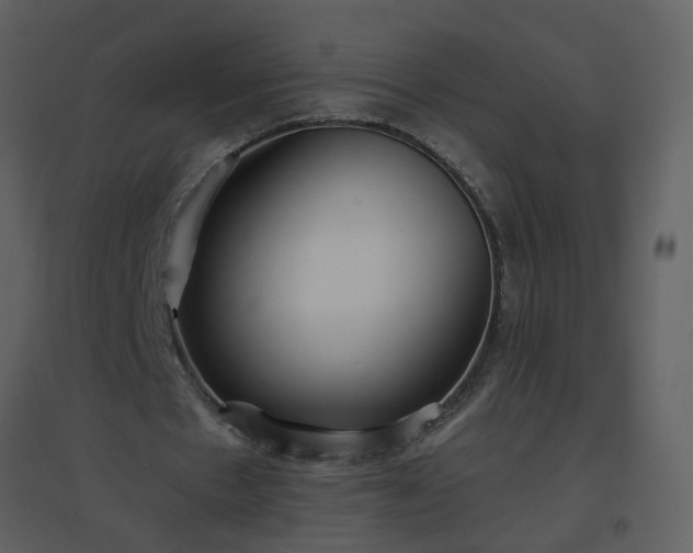X0000096630481200802121050