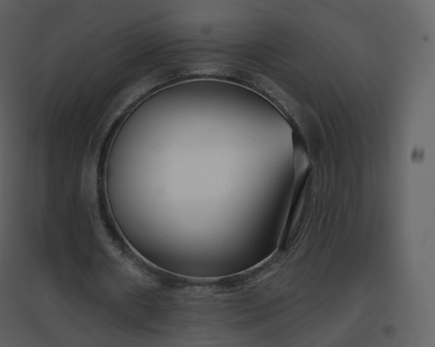 X0000096630482200802121050