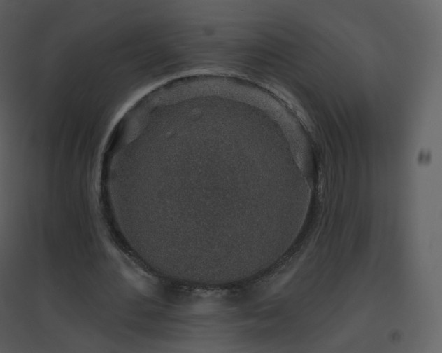 X0000096630484200802121050