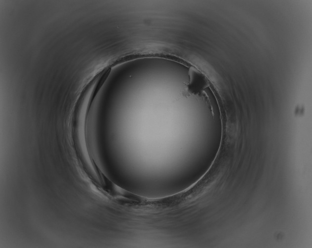 X0000096630485200802121050