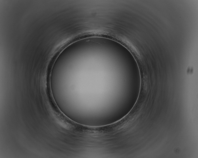 X0000096630486200802121050