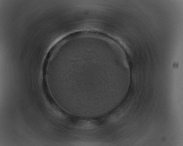 X0000096630488200802121050