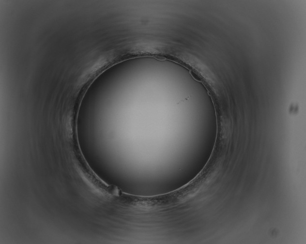 X0000096630489200802121050
