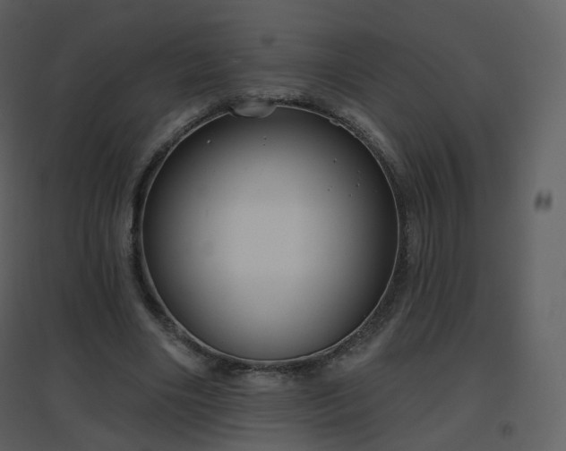 X0000096630490200802121050