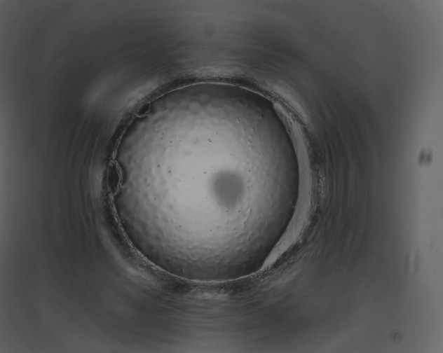 X0000096630491200802121050