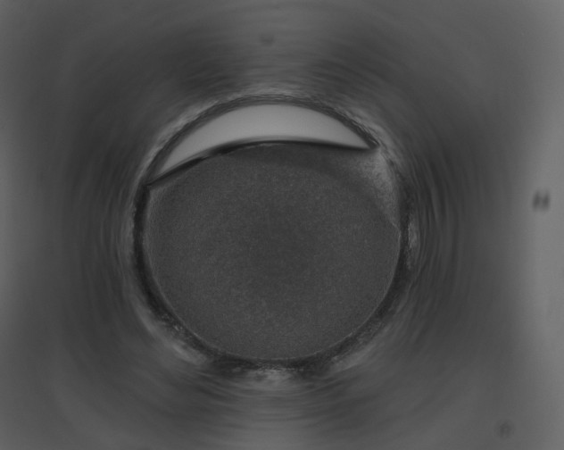 X0000096630492200802121050