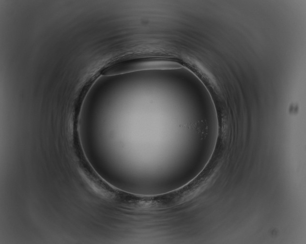 X0000096630493200802121050