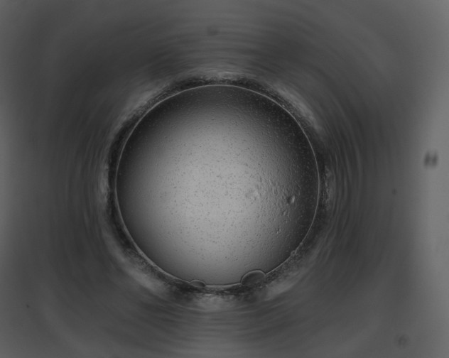 X0000096630494200802121050