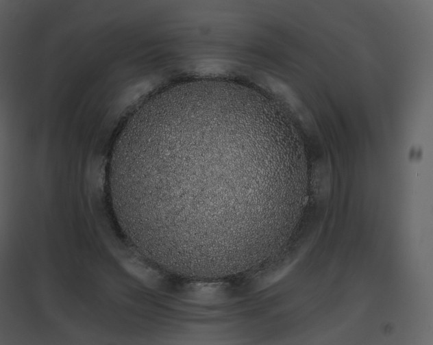 X0000096630495200802121050