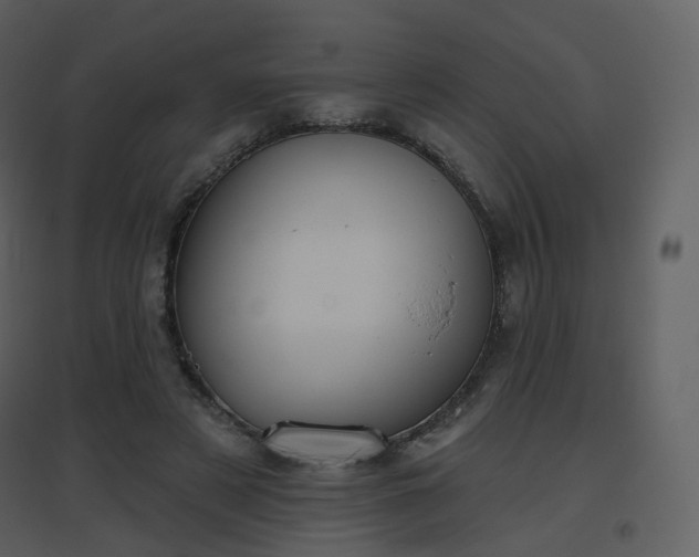 X0000096630497200802121050