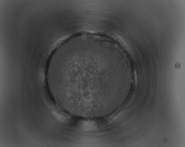 X0000096630500200802121050