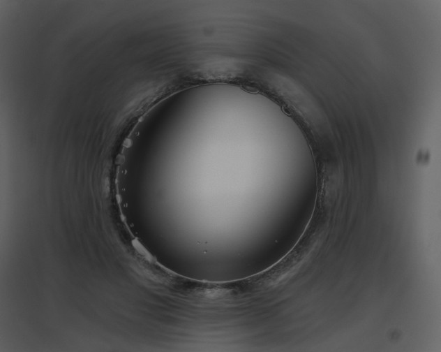 X0000096630501200802121050