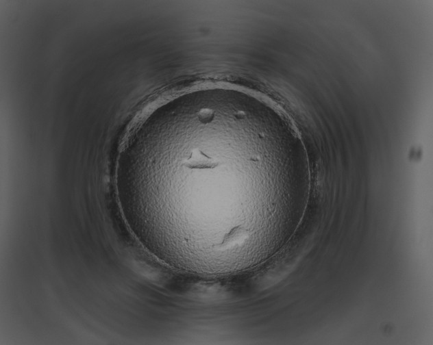 X0000096630502200802121050