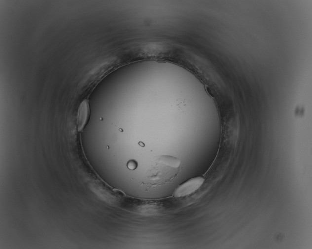 X0000096630505200802121050