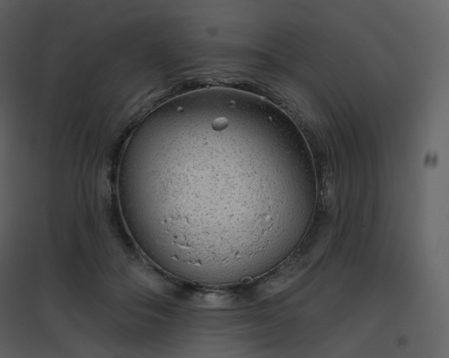 X0000096630506200802121050