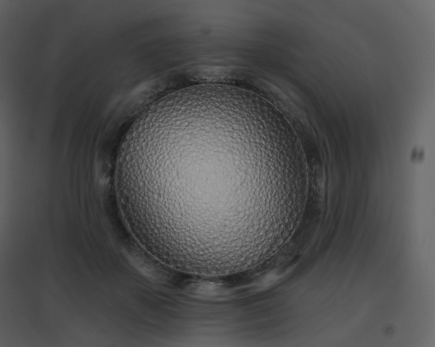 X0000096630507200802121050