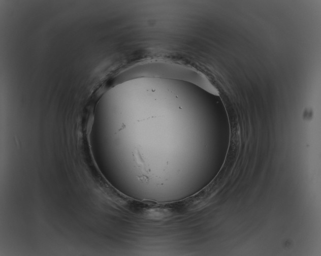 X0000096630508200802121050