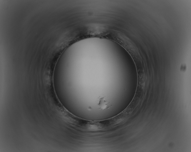 X0000096630510200802121050