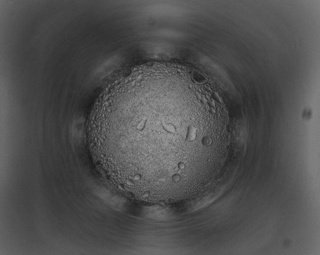 X0000096630511200802121050